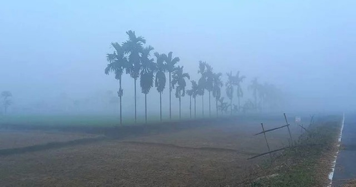 পঞ্চগড়ে শীতের প্রকোপ দিন দিন বেড়েই চলেছে