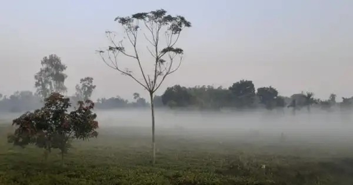 পঞ্চগড়ে জেঁকে বসেছে শীত, তাপমাত্রা ১৩ ডিগ্রির ঘরে