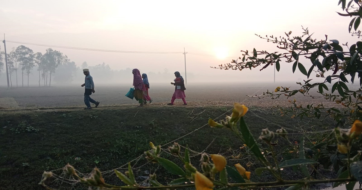 নীলফামারীতে বাড়ছে শীতের তীব্রতা, গাছের পাতায় জমছে শিশির বিন্দু
