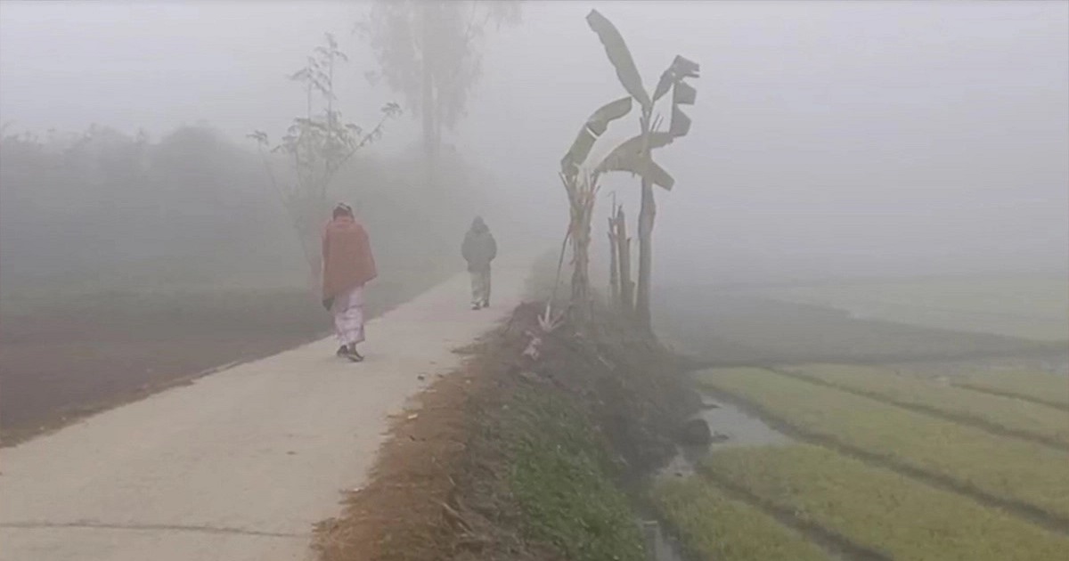 শীতে কাঁপছে কুড়িগ্রাম, তাপমাত্রা নামল ১২.৩ ডিগ্রিতে