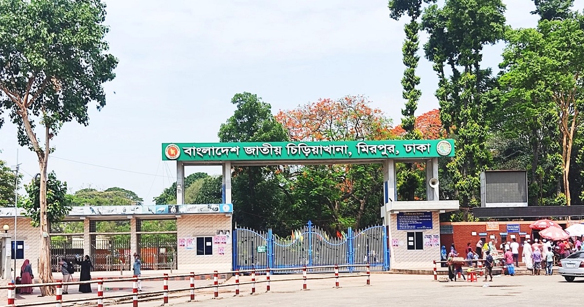 চিড়িয়াখানায় খাঁচা থেকে বের হয়ে গেল সিংহ