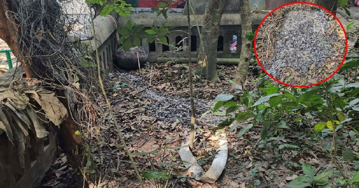শরীয়তপুরে মুক্তিযোদ্ধার কবরে আগুন