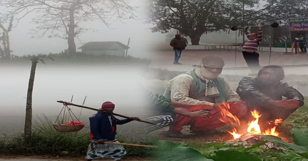 হিমালয়ের পাদদেশে কুয়াশাকে জয় করে নীলফামারীর জীবনসংগ্রাম