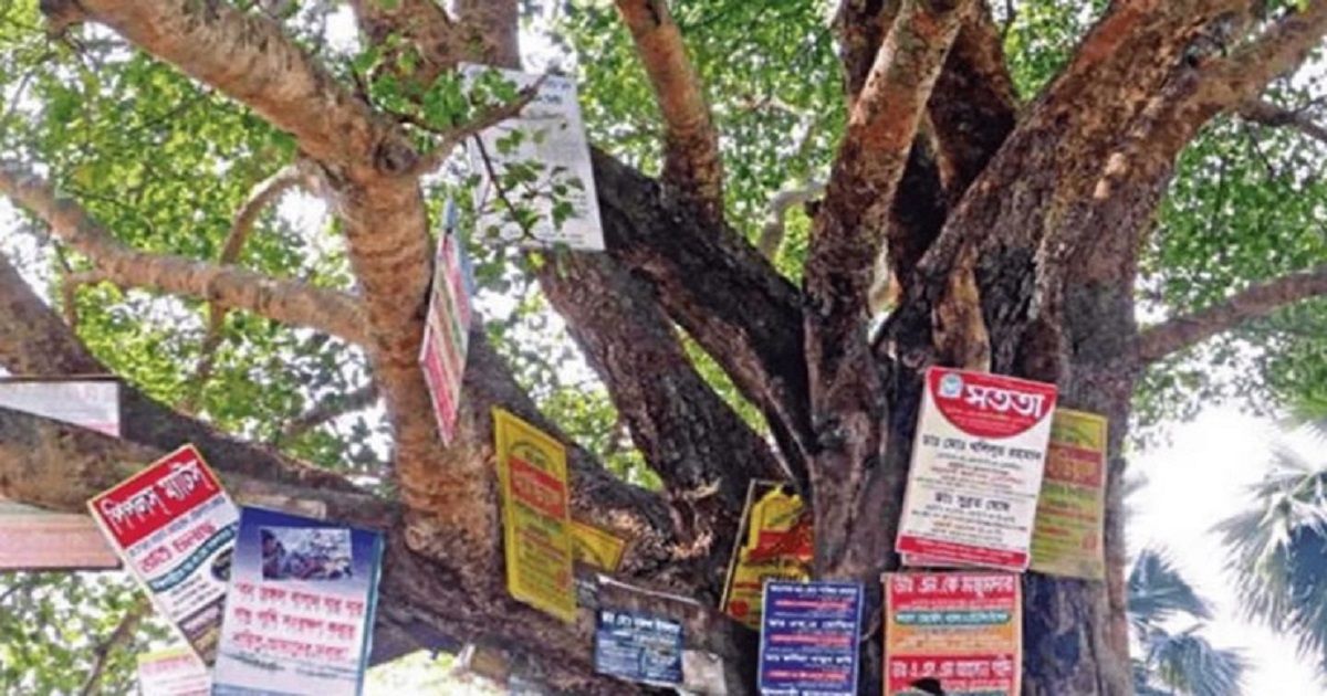 গাছে পেরেক ঠোকালে সর্বোচ্চ ২০ হাজার টাকা জরিমানা