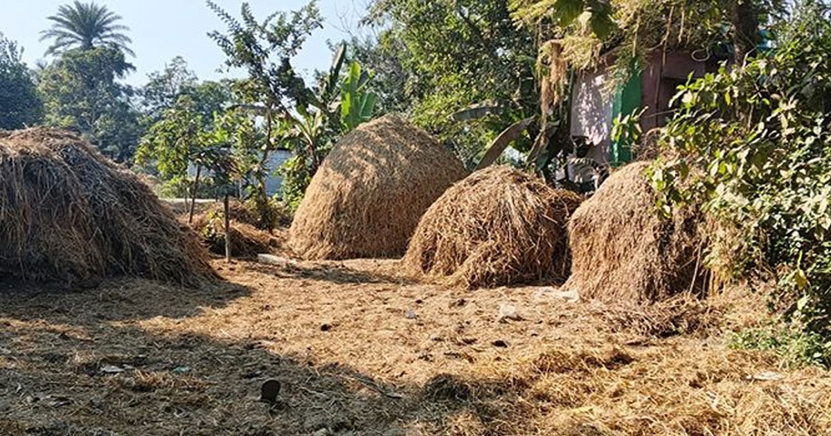 পিরোজপুরে খড়ের গাদার ভেতর থেকে শিশুর ব্যাগভর্তি লাশ উদ্ধার