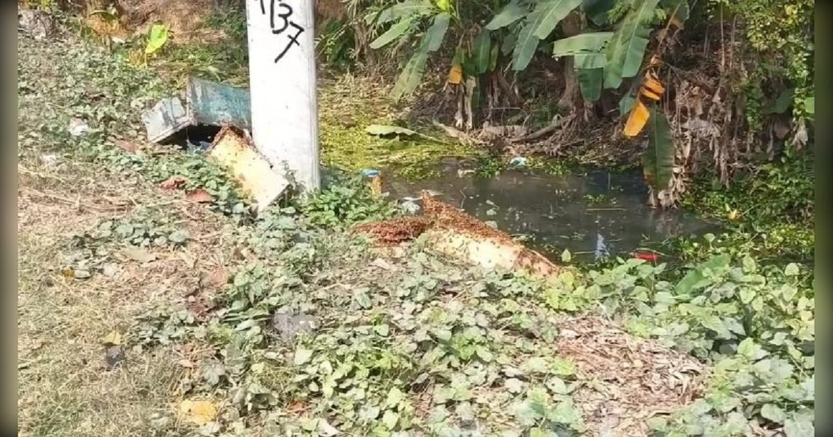 মাদারীপুরে ট্রাক উল্টে খাদে, নিহত ২