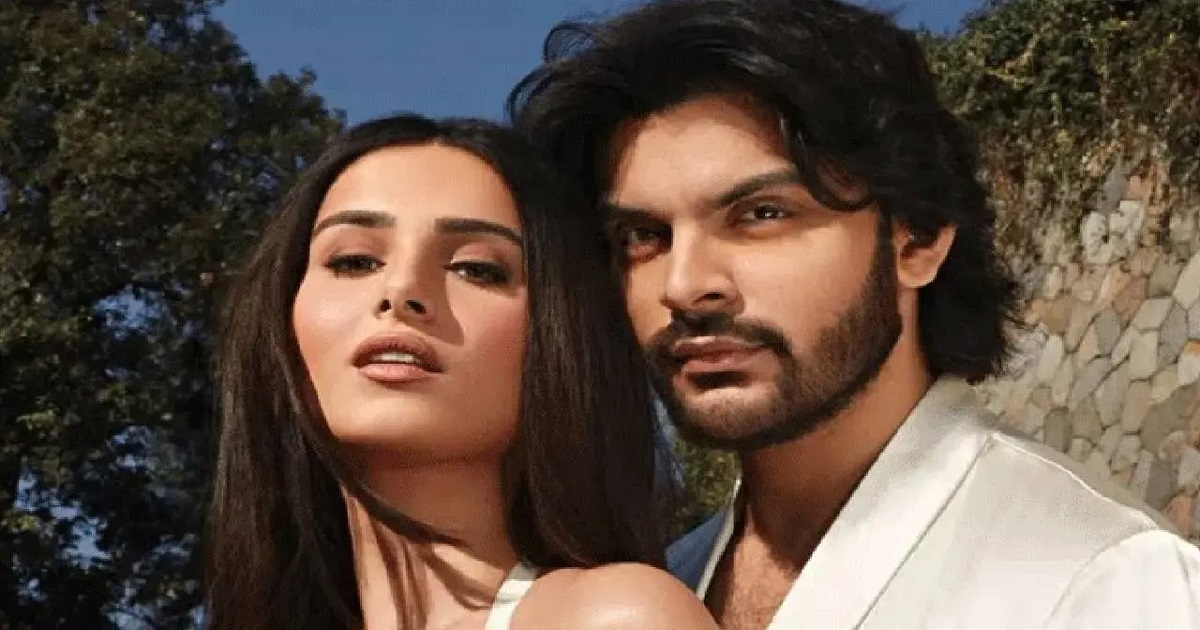 তারা-বীরের বিচ্ছেদের গুঞ্জনে সিলমোহর