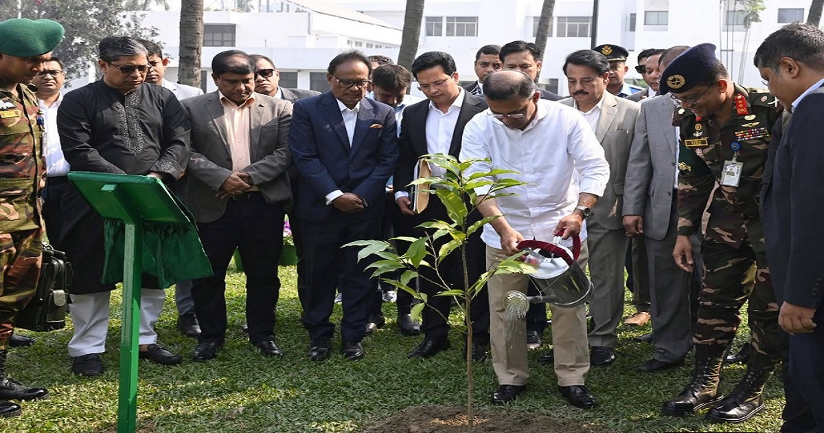 তেজগাঁও কার্যালয়ে প্রধানমন্ত্রী, গাছের চারা রোপন করে দোয়া-মোনাজাত