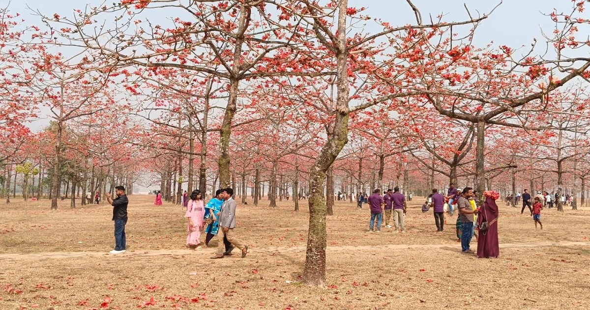 চিলমারীর শিমুলতলায় দর্শনার্থীর ভিড়