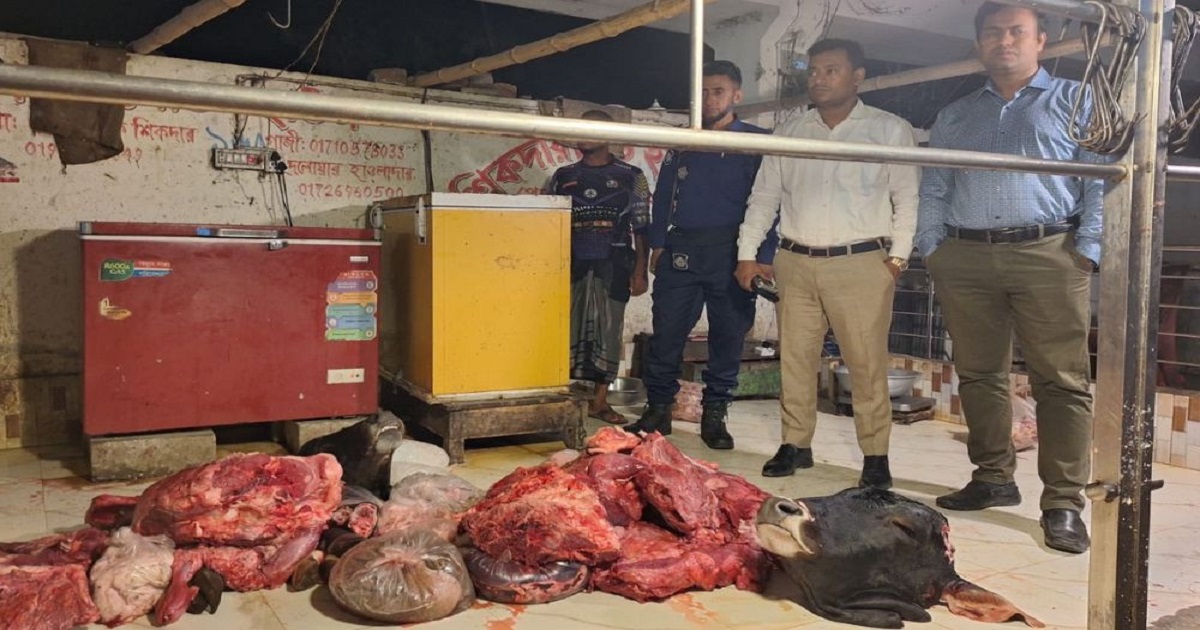 গোপালগঞ্জের কোটালীপাড়ায় মরা গরুর ১০ মণ মাংস জব্দ