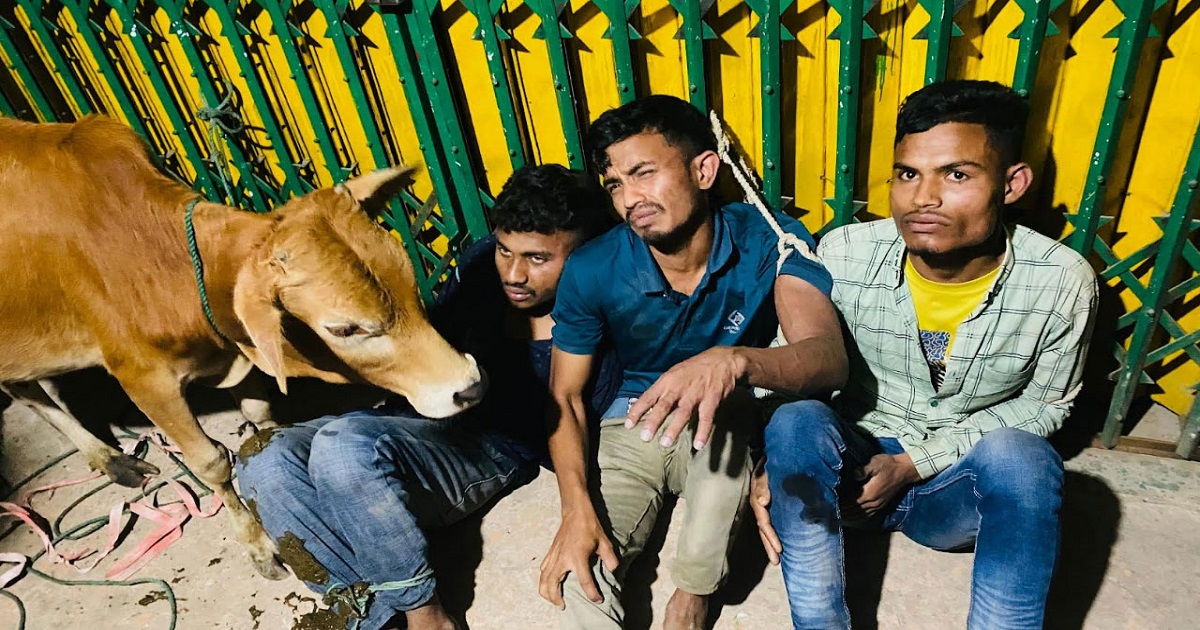 ডাকাতির চেষ্টায় গ্রামবাসীর হাতে আটক ৩ ডাকাত