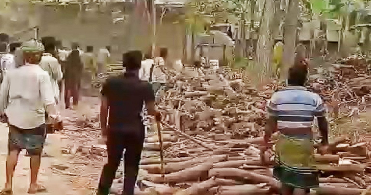রণক্ষেত্র শৈলকুপা, আহত ১৫