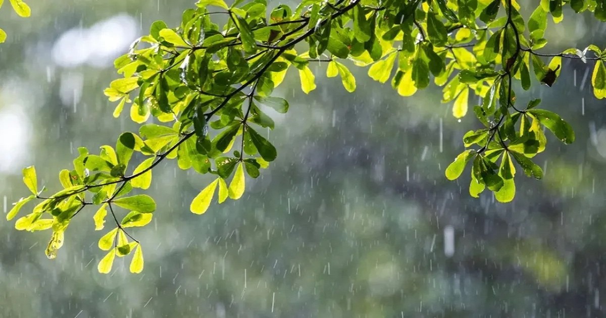 ঝোড়ো হাওয়াসহ বজ্রবৃষ্টির পূর্বাভাস