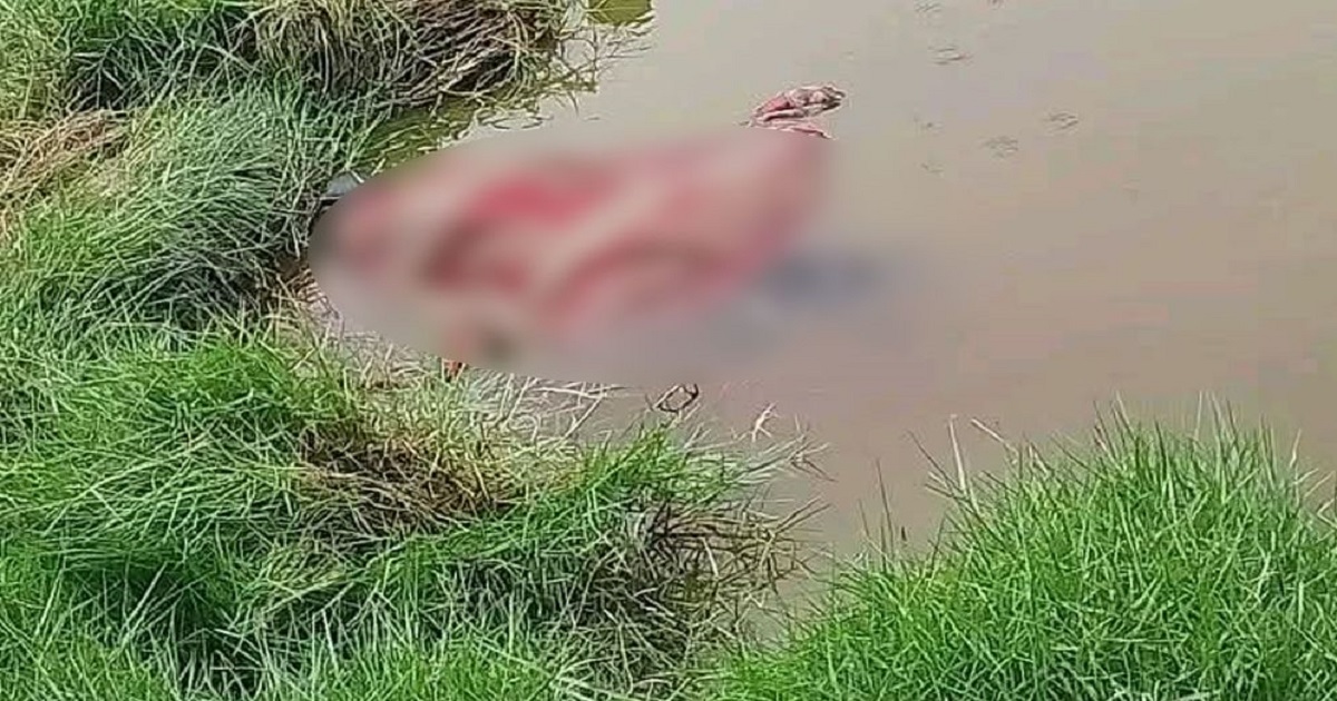 পুলিশ কর্মকর্তার মাকে গলাকেটে হত্যা, পুকুর থেকে লাশ উদ্ধার