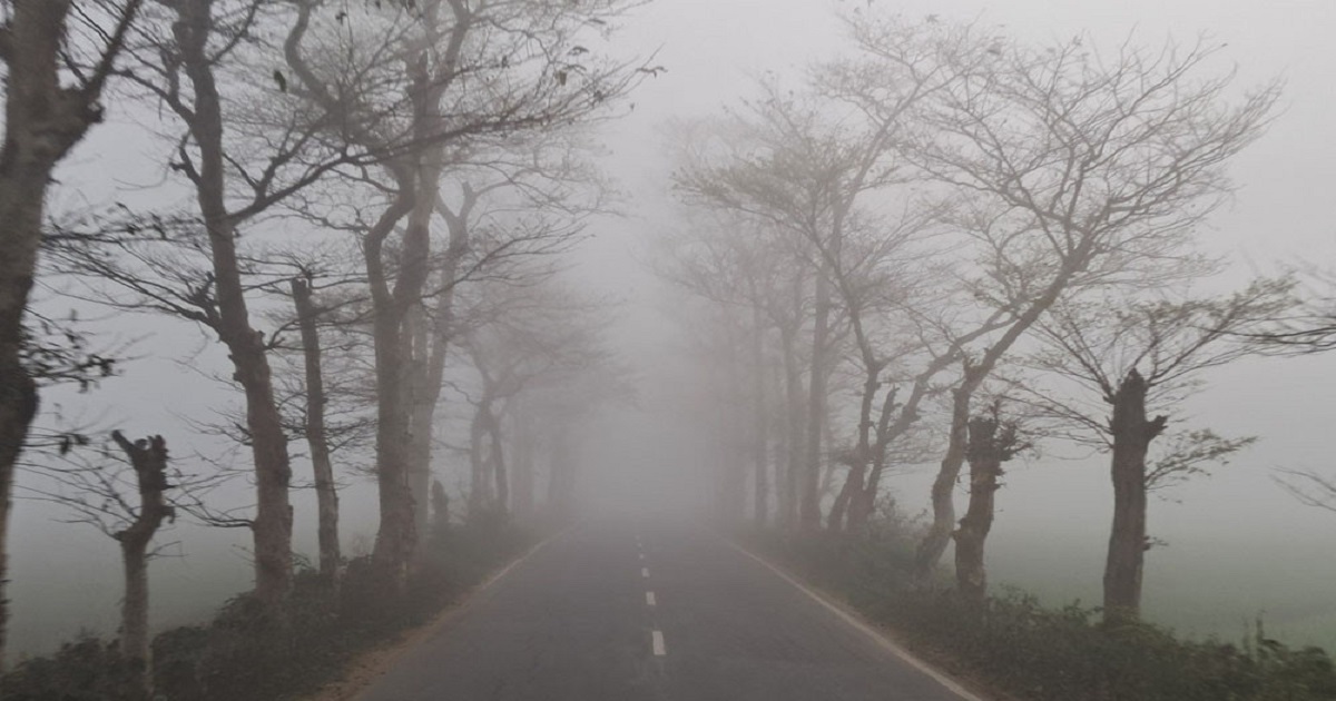 কুয়াশার চাদরে কমলগঞ্জ