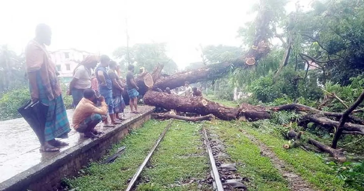 নোয়াখালীতে ঝড়ের দাপট, রেললাইনে গাছ পড়ে দুই ঘণ্টা ট্রেন বন্ধ