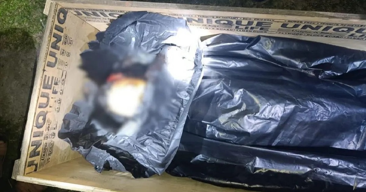 সীমান্তে বিএসএফের গুলিতে নিহতের লাশ ফেরত