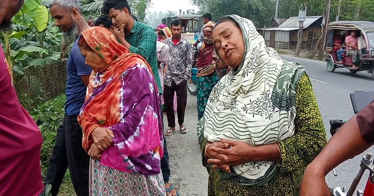 নীলফামারীতে ট্রাক চাপায় দুই ভাই নিহত, আহত ১