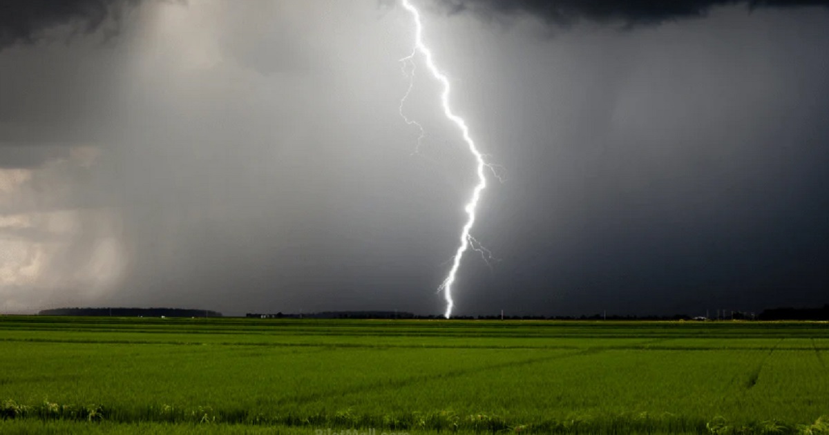 বজ্রপাতে ৯ জনের মৃত্যু