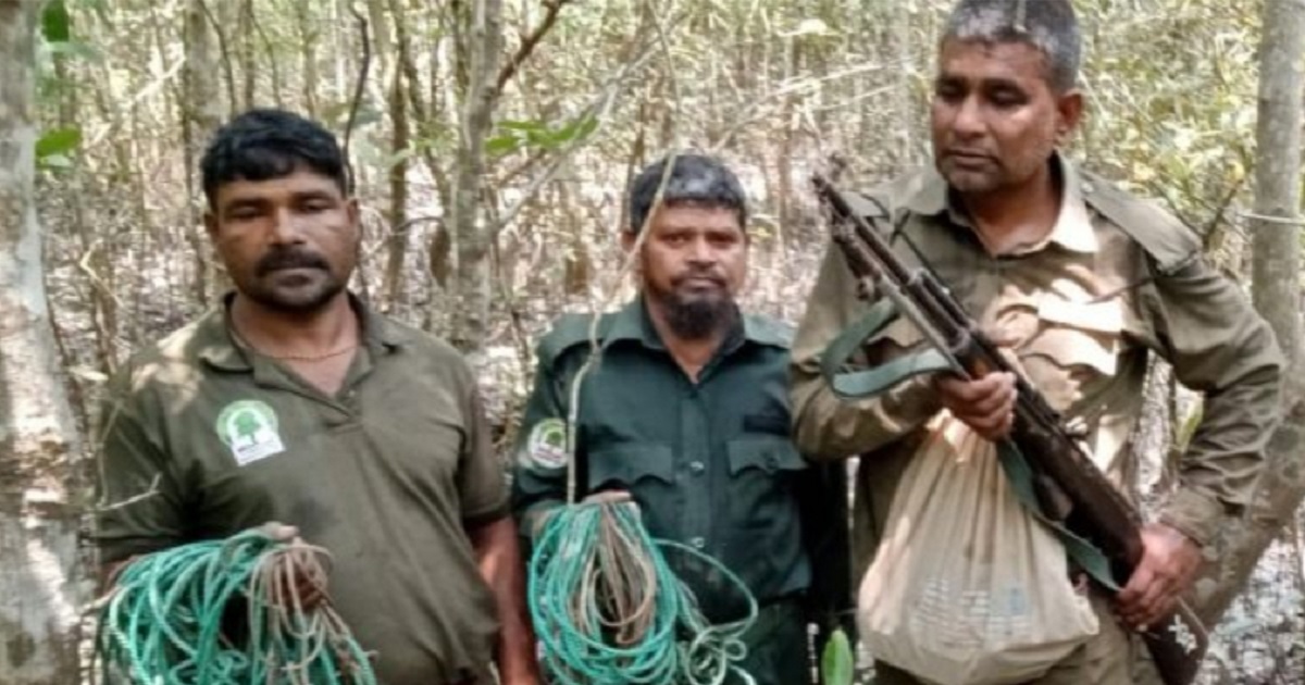 সুন্দরবনে ৪১টি হরিণ শিকারের ফাঁদ জব্দ