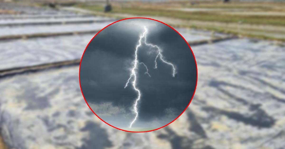 কক্সবাজারে বজ্রপাতে লবণ চাষির মৃত্যু