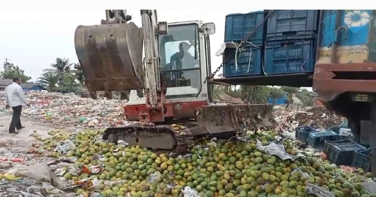 সাতক্ষীরায় কেমিক্যাল মেশানো ৯ হাজার কেজি আম জব্দ, পরে ধ্বংস