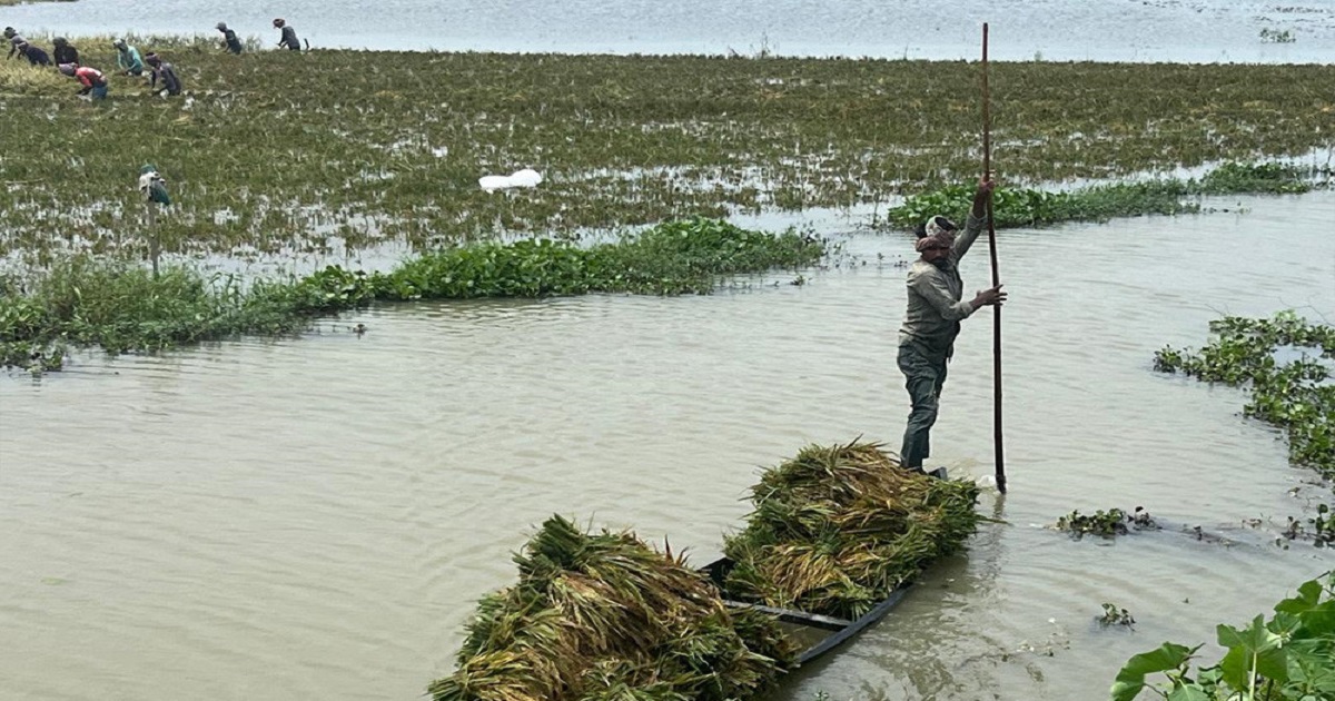 স্বামীর সহযোগী হয়ে প্রাণ গেল স্ত্রীর