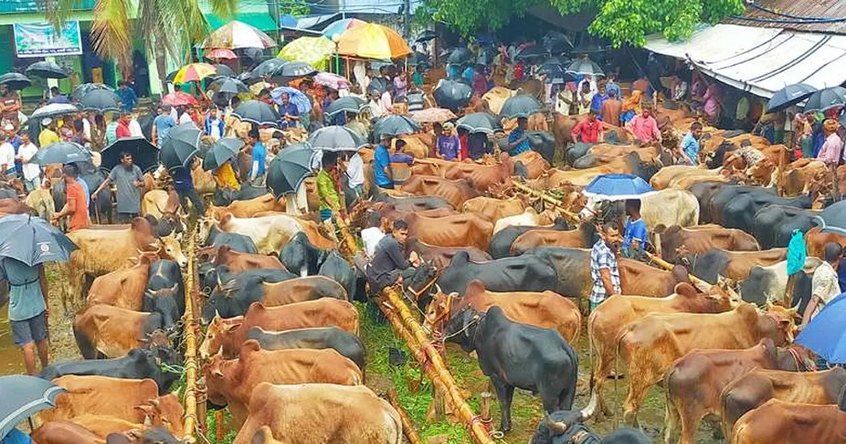 চাহিদার চেয়ে উৎপাদন বেশি : কৃষি এবং মৎস্য ও প্রাণিসম্পদমন্ত্রী