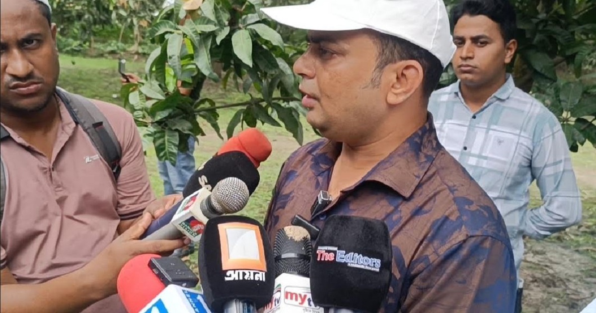 সাতক্ষীরায় শুরু হলো মৌসুমের প্রথম আম সংগ্রহ ও বাজারজাতকরণ