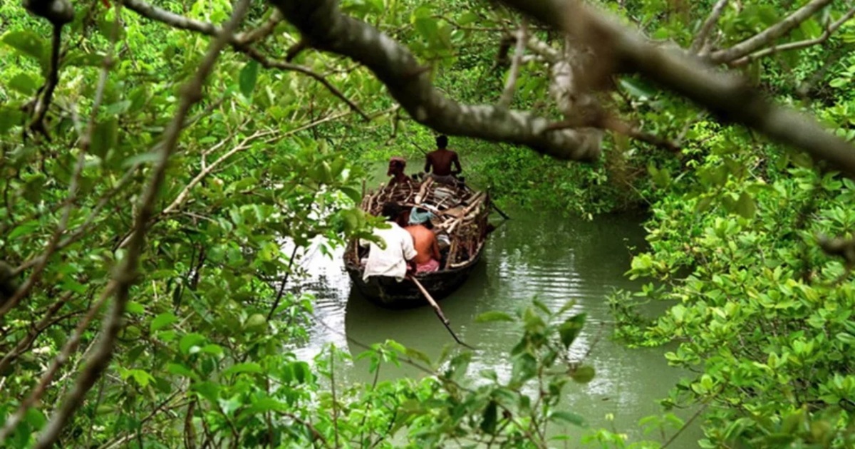 আলোরকোল থাকে অপহৃত ১১ জেলে মুক্তিপণ দিয়ে বাড়ি ফিরল