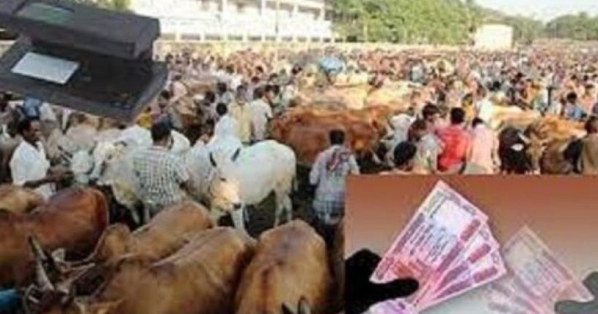 পশুর হাটে জাল নোট প্রতিরোধে বাংলাদেশ ব্যাংকের ১০ নির্দেশনা জারি