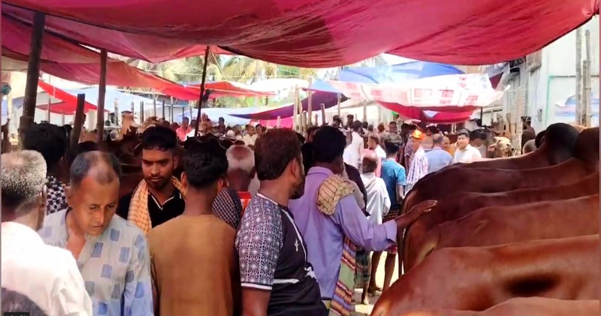 লক্ষ্মীপুরে কোরবানির পশুর দাম নিয়ে অসন্তোষ ক্রেতা-বিক্রেতার মধ্যে
