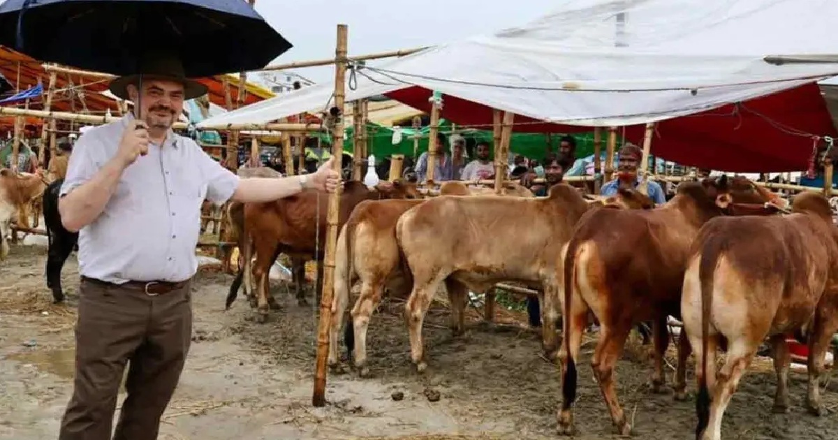 ছাতা হাতে কোরবানির পশুর হাটে মার্কিন রাষ্ট্রদূত, জানালেন ঈদের শুভেচ্ছা