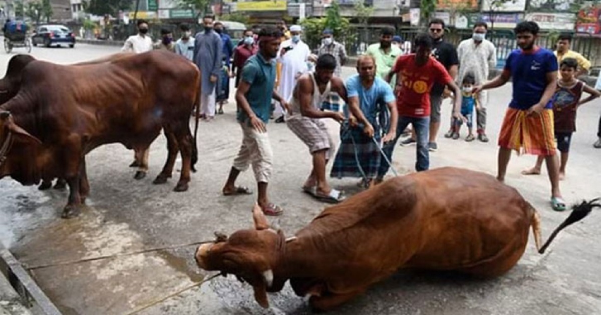 ঈদের দ্বিতীয় দিনেও দেশজুড়ে চলছে পশু কোরবানি