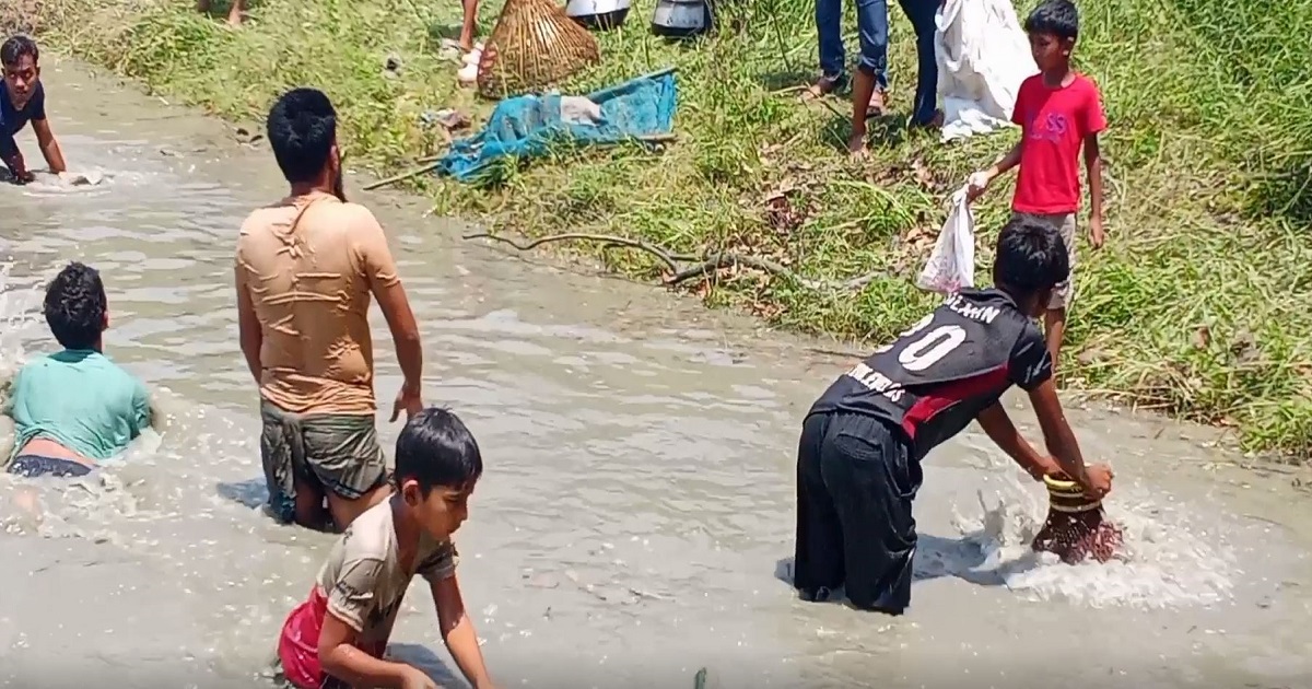 ঈদের আনন্দে মানিকগঞ্জে ব্যতিক্রমধর্মী মাছ ধরা উৎসব