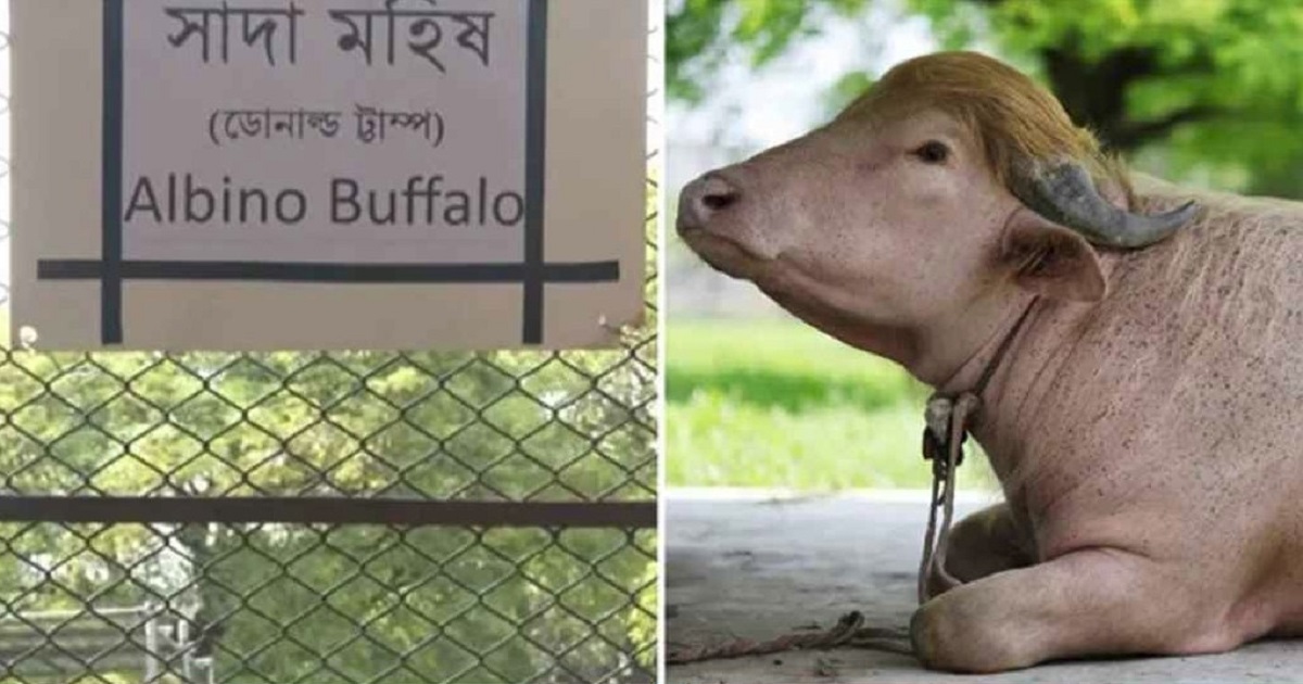 ‘ডোনাল্ড ট্রাম্প’ নাম ভুল লেখায় চিড়িয়াখানার কিউরেটর বদলি