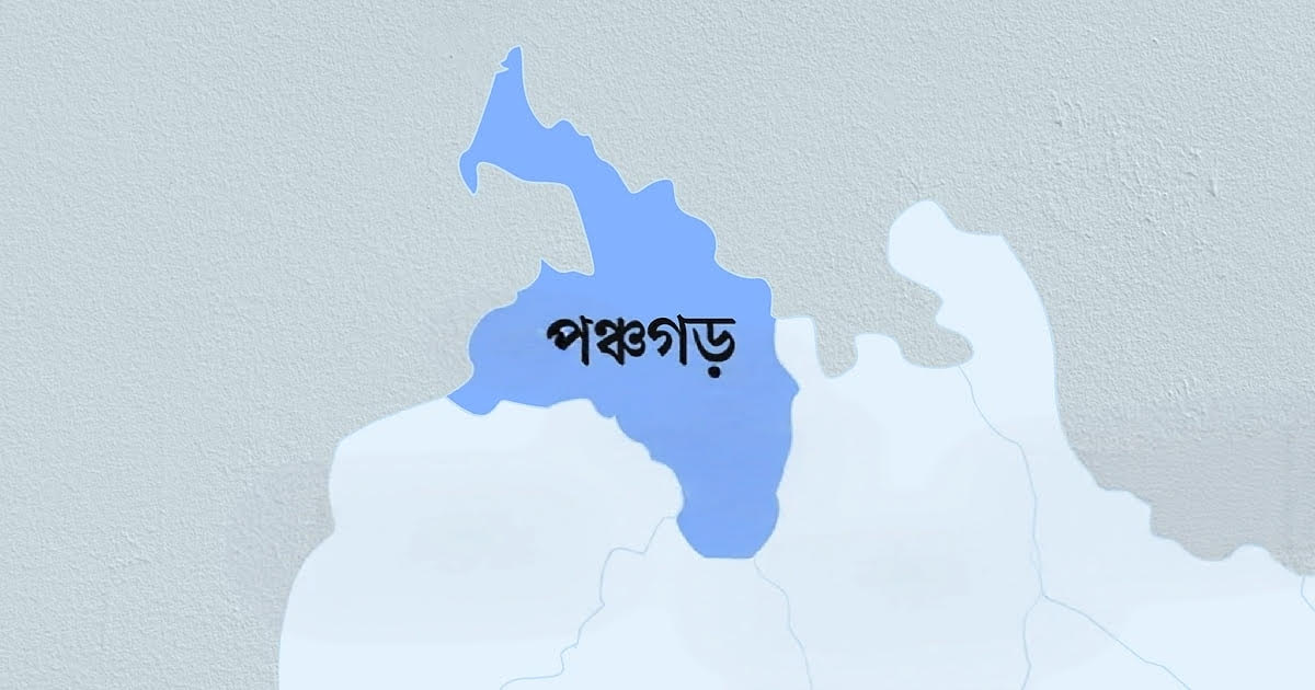 ‎পঞ্চগড়ে পুকুরে ডুবে প্রাণ গেল দুই ভাই-বোনের