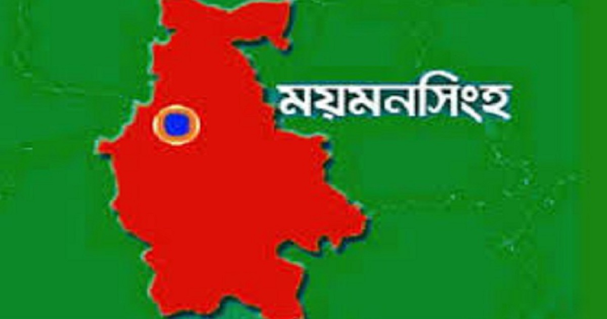 অর্ধশতবর্ষী কড়ই গাছ কাটার প্রতিবাদে মানববন্ধন