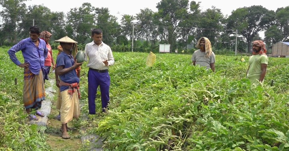 প্রতিবন্ধকতাকে জয় করে কৃষকের নির্ভরতার নাম মফিজ উদ্দিন, কৃষকের আস্থার প্রতীক এক কৃষি কর্মকর্তার গল্প