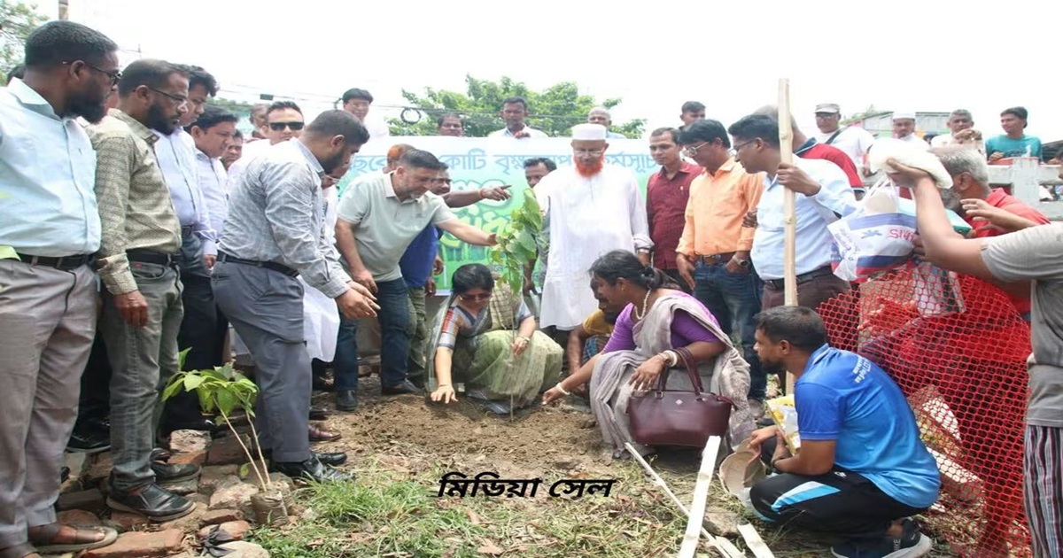 সাতক্ষীরার প্রতিটি উপজেলায় দুই একর জমিতে বনায়ন করা হবে:  জেলা প্রশাসক মিজ কাউসার আজিজ